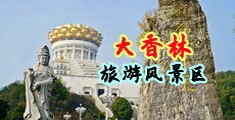 www.艹屄骚中国浙江-绍兴大香林旅游风景区